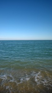 WP_20160221_009