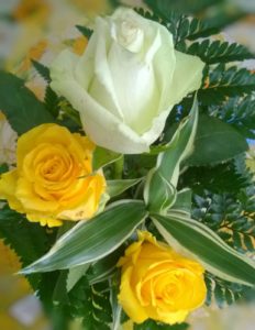 img-20160918-wa0000